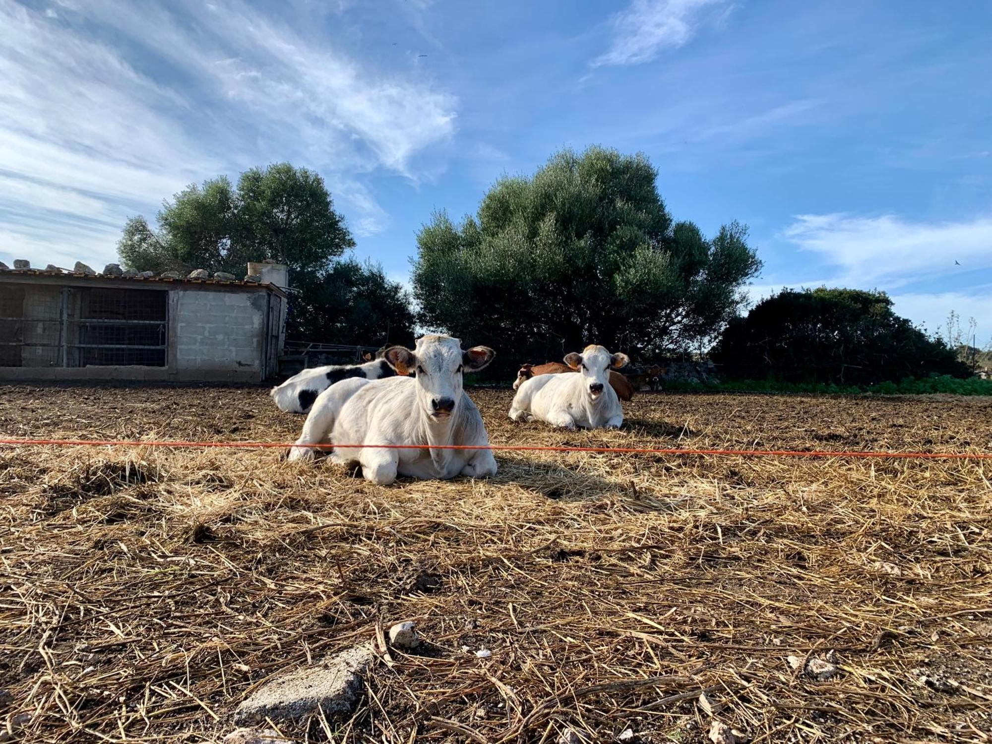 Cozzo Spadaro B&B Portopalo Di Capo Passero Luaran gambar